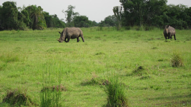 ZIWA Rhino Sanctuary
